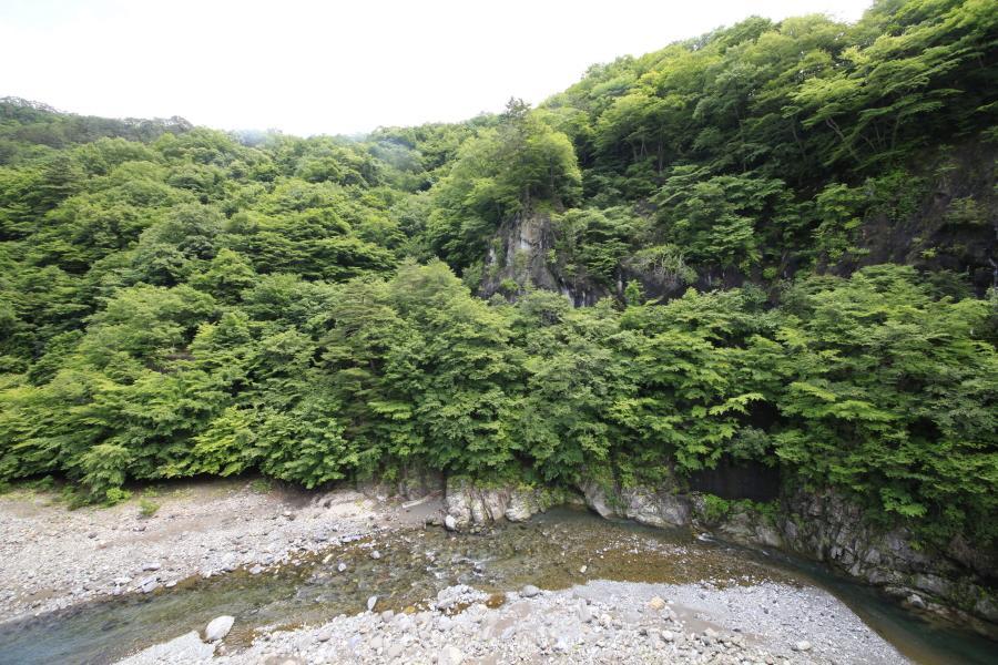 Hotel Minshuku Fukufuji Nikko Exteriér fotografie